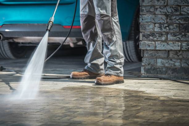 Best Soft Washing  in Paloma Creek South, TX