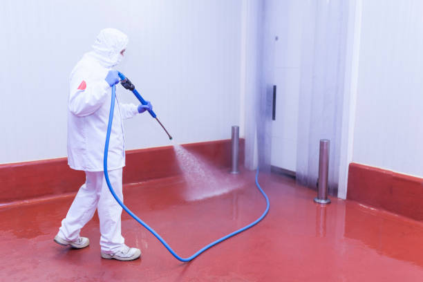 Best Playground Equipment Cleaning  in Paloma Creek South, TX
