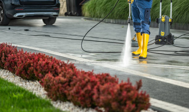 Best Dumpster Area Cleaning  in Paloma Creek South, TX